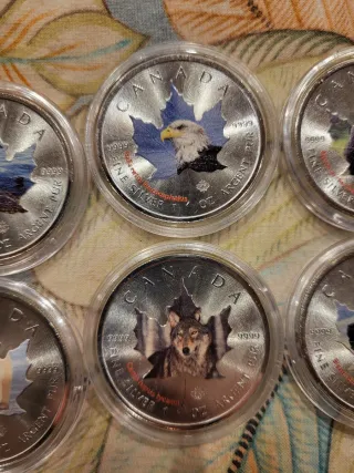 Plata 10 oz Monedas Canada Animales a  color