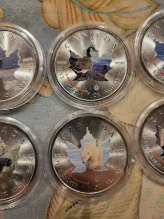 Plata 10 oz Monedas Canada Animales a  color