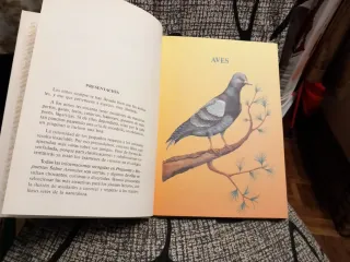 Preguntas y respuetas sobre la vida de los anim...