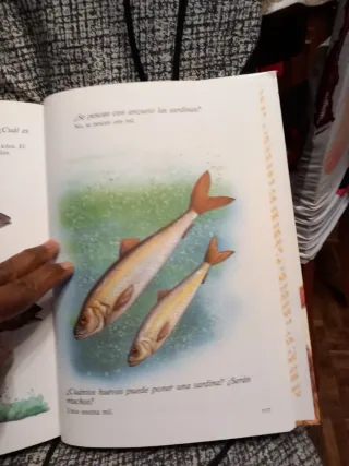 Preguntas y respuetas sobre la vida de los anim...