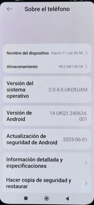 Xiaomi 11 Lite 5G NE Negro