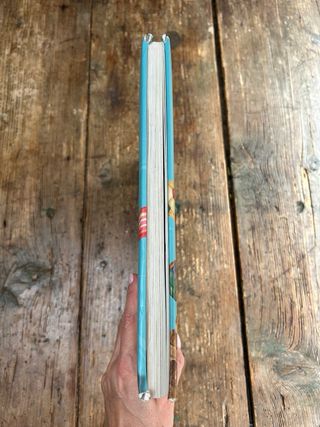 Cuentos para 365 días. Gloria Fuertes