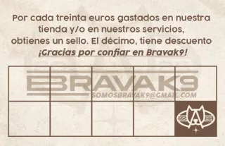 Adiestramiento canino