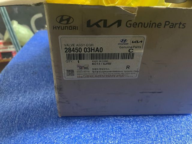 Válvula EGR Hyundai 28450-03HA0