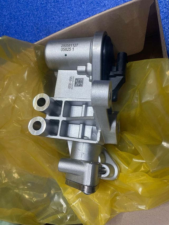 Válvula EGR Hyundai 28450-03HA0