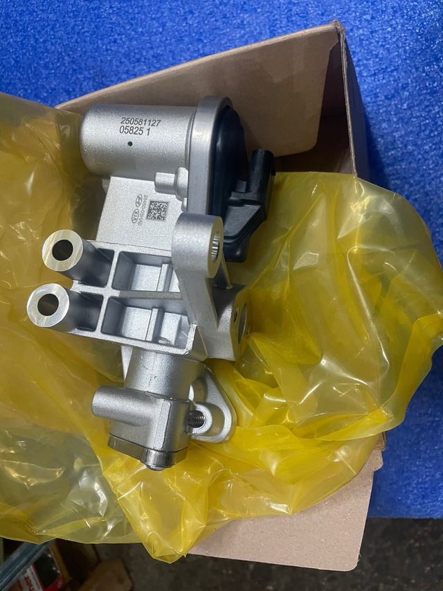 Válvula EGR Hyundai 28450-03HA0