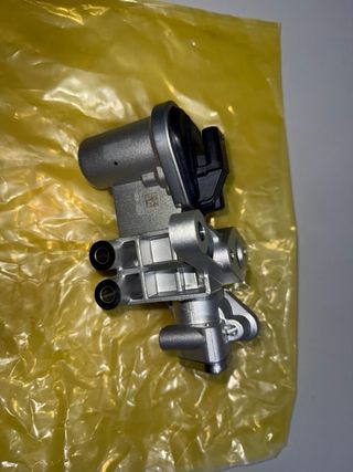 Válvula EGR Hyundai 28450-03HA0