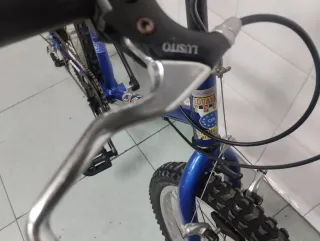 Bicicleta de 20 pulgadas