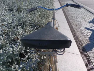 Bicicleta Clásica Orbea