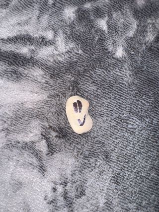 Piedras decorativas con caras