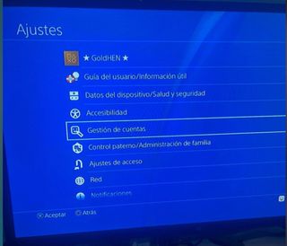 PS4 Fat 500 GB compatibile con PKG