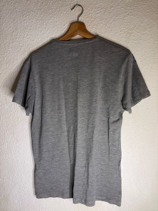 Camiseta Zara Hombre Tigre Azul Gris