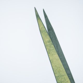 Cintura 100% Pelle Verde Made in Italy