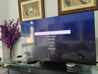 Samsung OLED S95D 55 4K Smart TV IA 2024