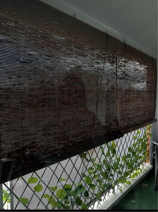 Stor de bambú oscuras 2