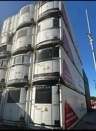 Contenedor Frigorífico Reefer Trasmediterránea
