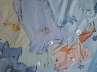 Lote Bodies Manga Corta Bebé Talla 74. Zara