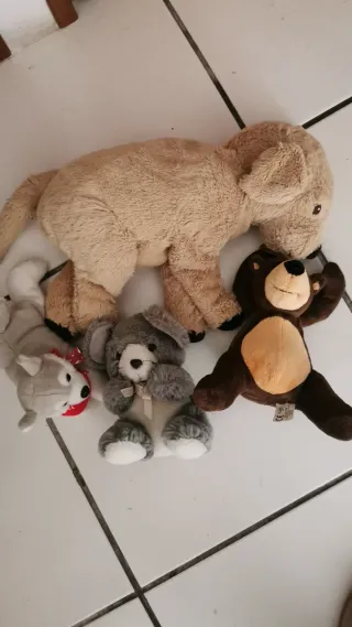 Peluche cane beige, orso marrone, cane grigio