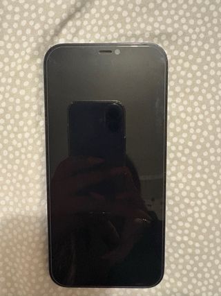 iPhone 12 Pro Max 128GB