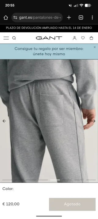 Pantalones grises Gant con logo