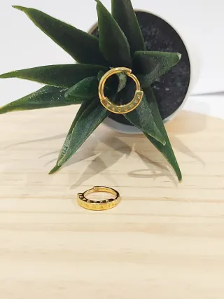 Pendientes Aro Pandora Dorados