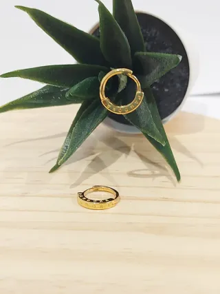 Pendientes Aro Pandora Dorados