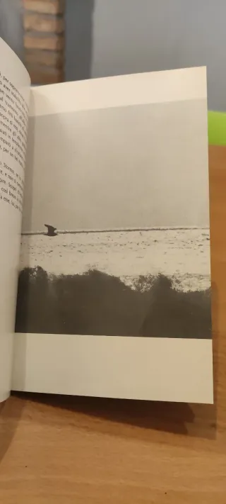 Il gabbiano Jonathan Livingston - Richard Bach - B