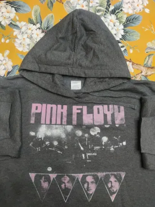 Felpa Pink Floyd Grigia