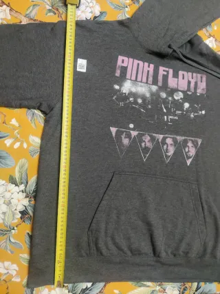Felpa Pink Floyd Grigia