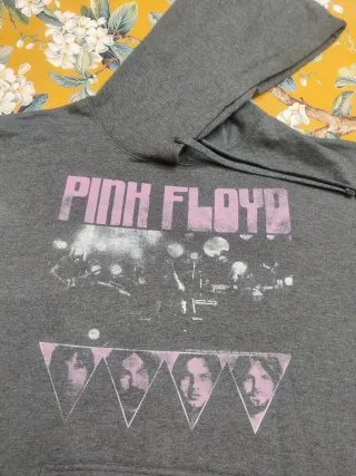 Felpa Pink Floyd Grigia