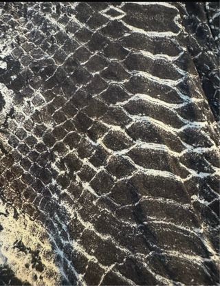 Vestido mini estampado serpiente