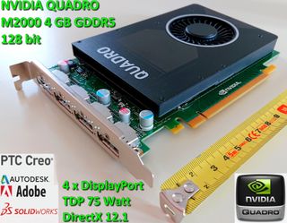 NVIDIA Quadro M2000 4 GB GDDR5 - GPU Scheda Video