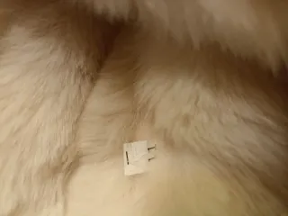 Gorro ruso beige con forro blanco