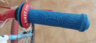 Bicicleta BMX PK Ripper