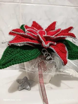 Stella di Natale uncinetto rossa e verde