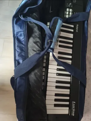 Keytar Roland Lucina AX-09 Negro