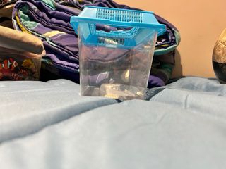 Transportín para mascotas azul