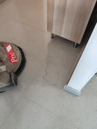 Pulidor y abrillantador de suelos