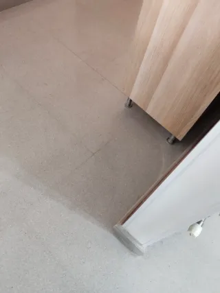 Pulidor y abrillantador de suelos