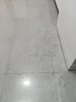 Pulidor y abrillantador de suelos