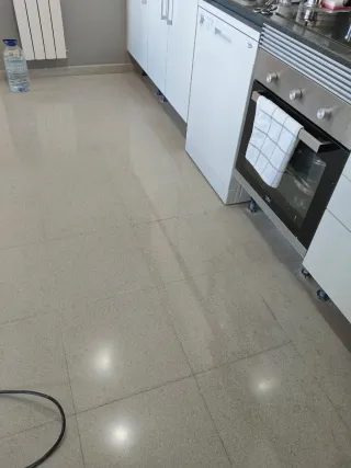 Pulidor y abrillantador de suelos