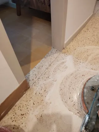 Pulidor y abrillantador de suelos