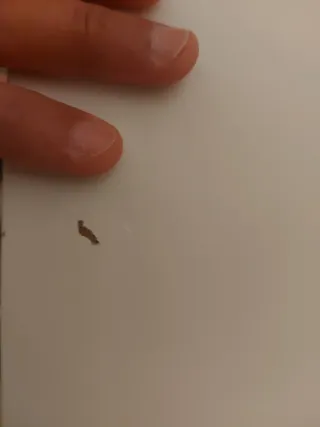 Cómoda Ikea BRIMNES Blanca