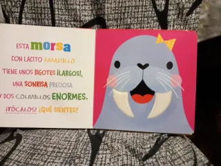 ¿Quieres tocar a un cocodrilo?