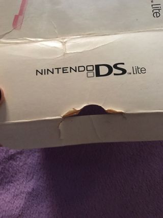 Nintendo DS Lite Rosa Caja y Manual