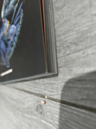 BATMAN VS ALIENS (DC Cómics)