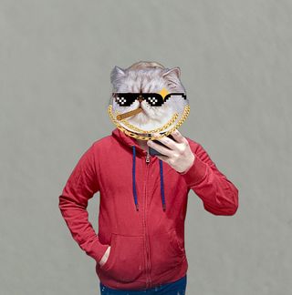 Chaqueta con capucha Springfield roja