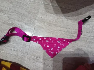 Collar para perro con bandana