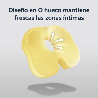 Set Cojín Lumbar y Asiento Memory Foam