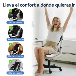 Set Cojín Lumbar y Asiento Memory Foam